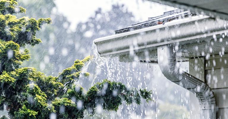 Why Is It Illegal To Collect Rainwater What To Know