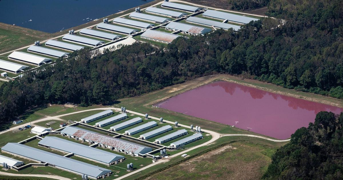 Factory farm near polluted water source