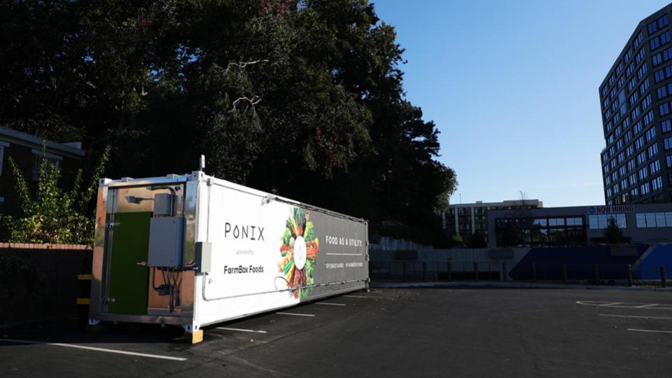 This Company Is Using Hydroponic Technology to Increase Food Security