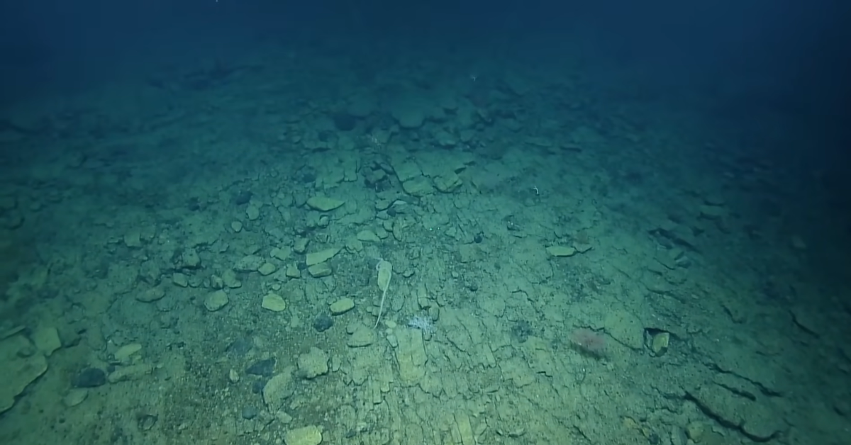 Pieces and fragments of what appear to be bricks are piled up on the seafloor