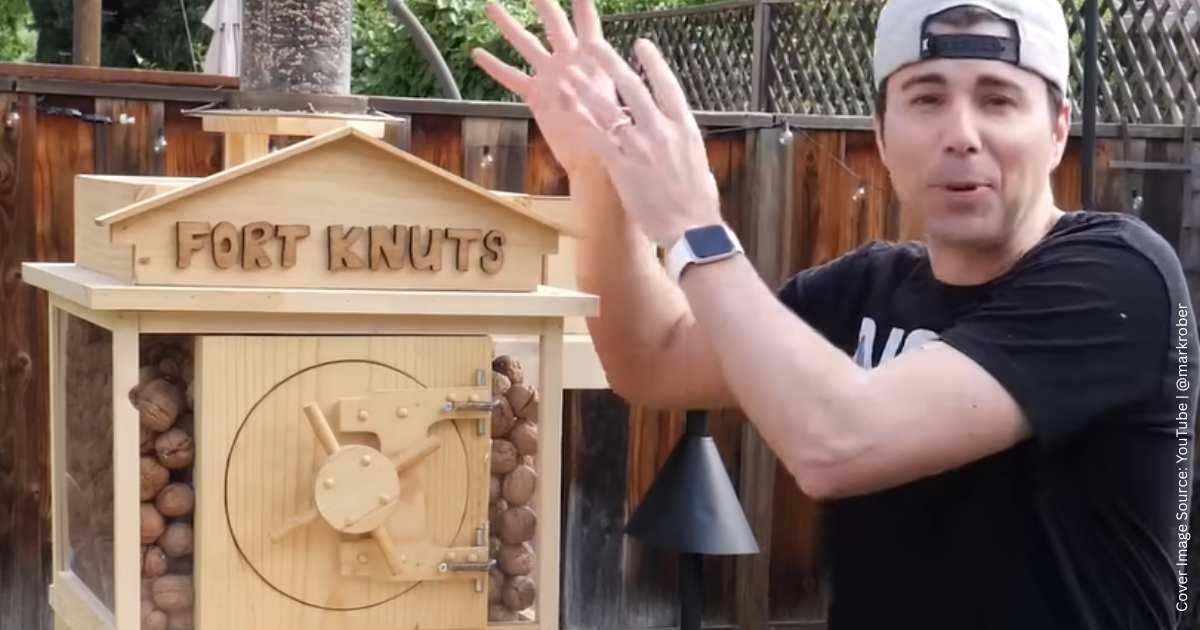 Engineer demonstrates an unusual obstacle course he created for nut-stealing squirrels in his yard (Cover Image Source: YouTube | @markrober)