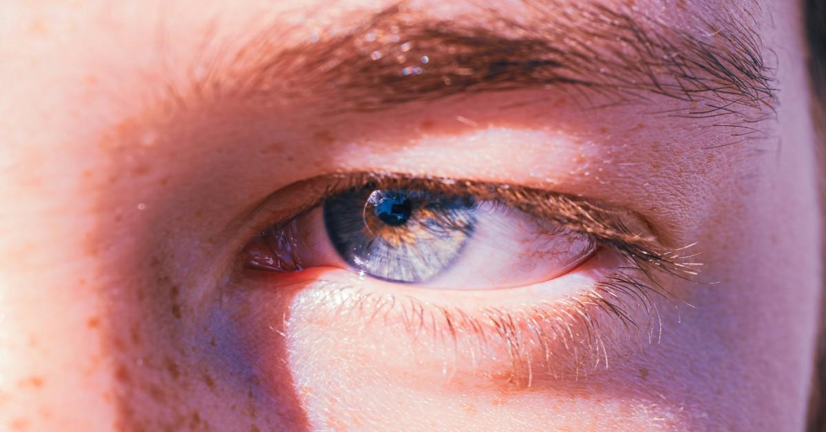 A closeup of a freckle faced child's eyelashes 