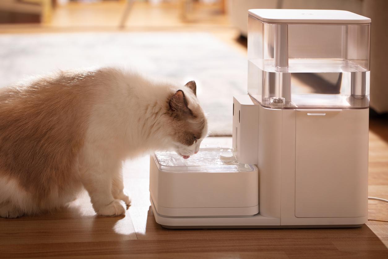 A cat with a white and brown colored coat drinks water from a fountain on a wooden floor of a kitchen.