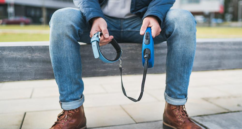 Why Are Retractable Leashes Bad? They Can Be Dangerous