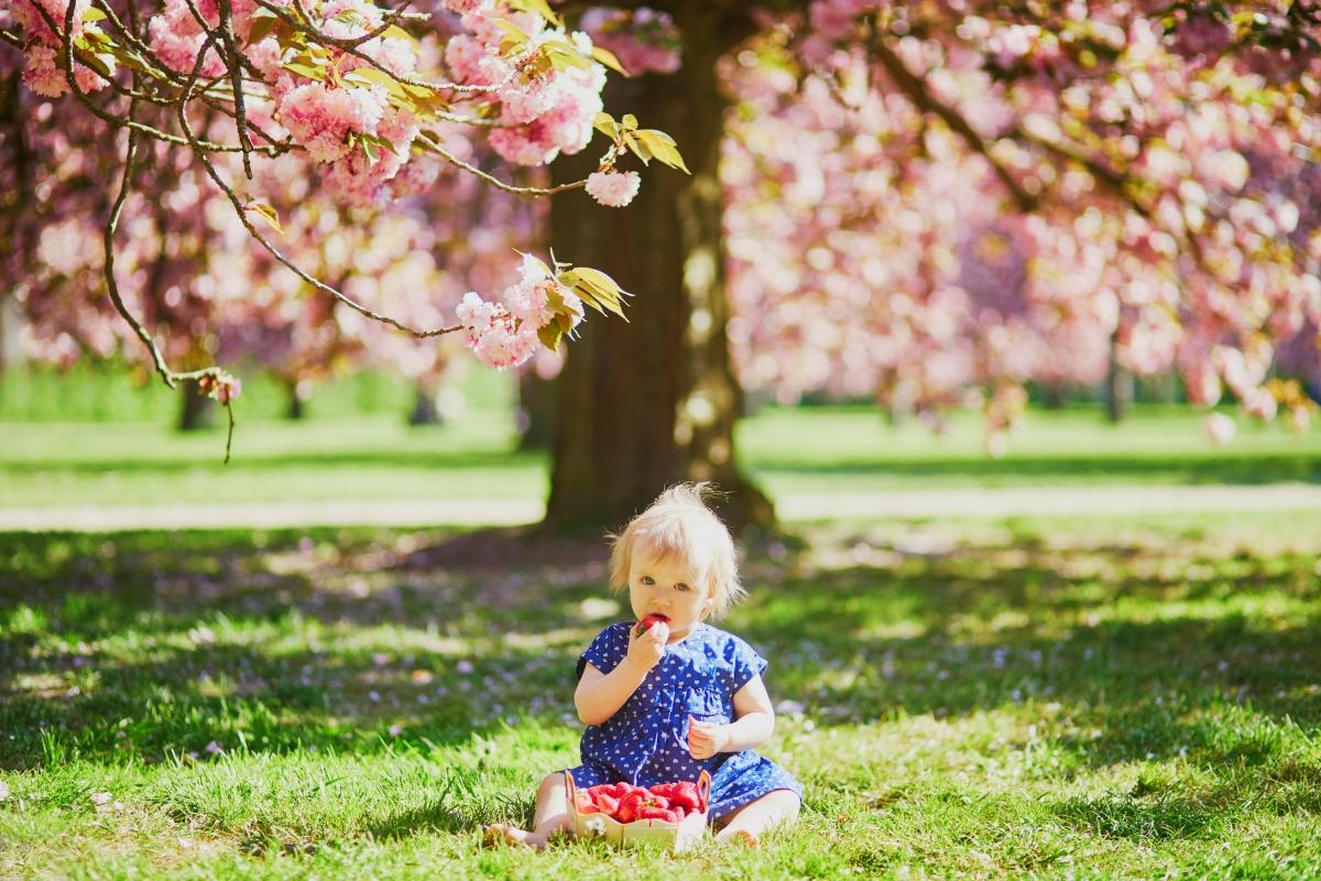 girl in blue dress under a cherry tree