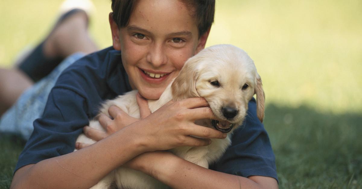 crate training basics new dog owner