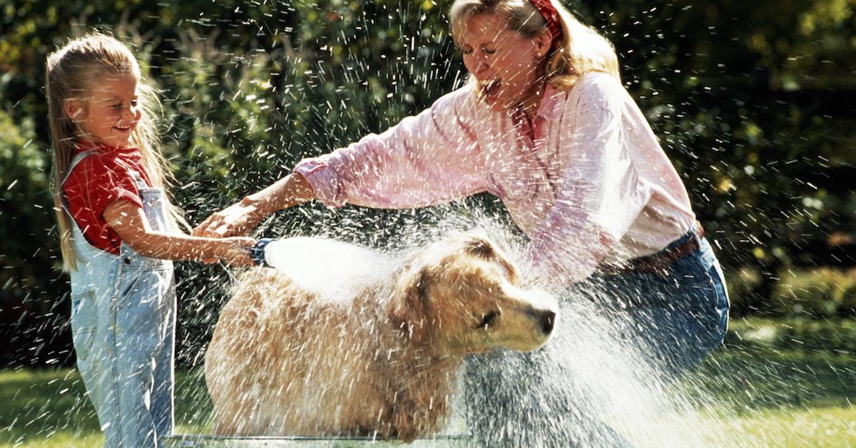 how often should you bathe your dog