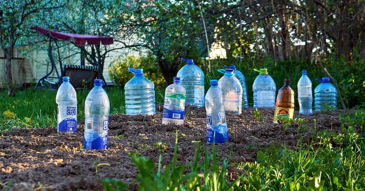 Milk Jug Gardening Ideas