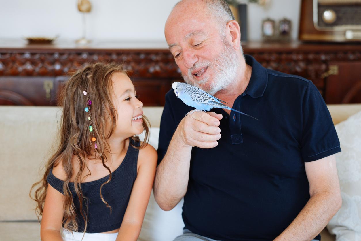 A young, smiling girl and her smiling grandfather hold a parakeet together on a couch in their home. 