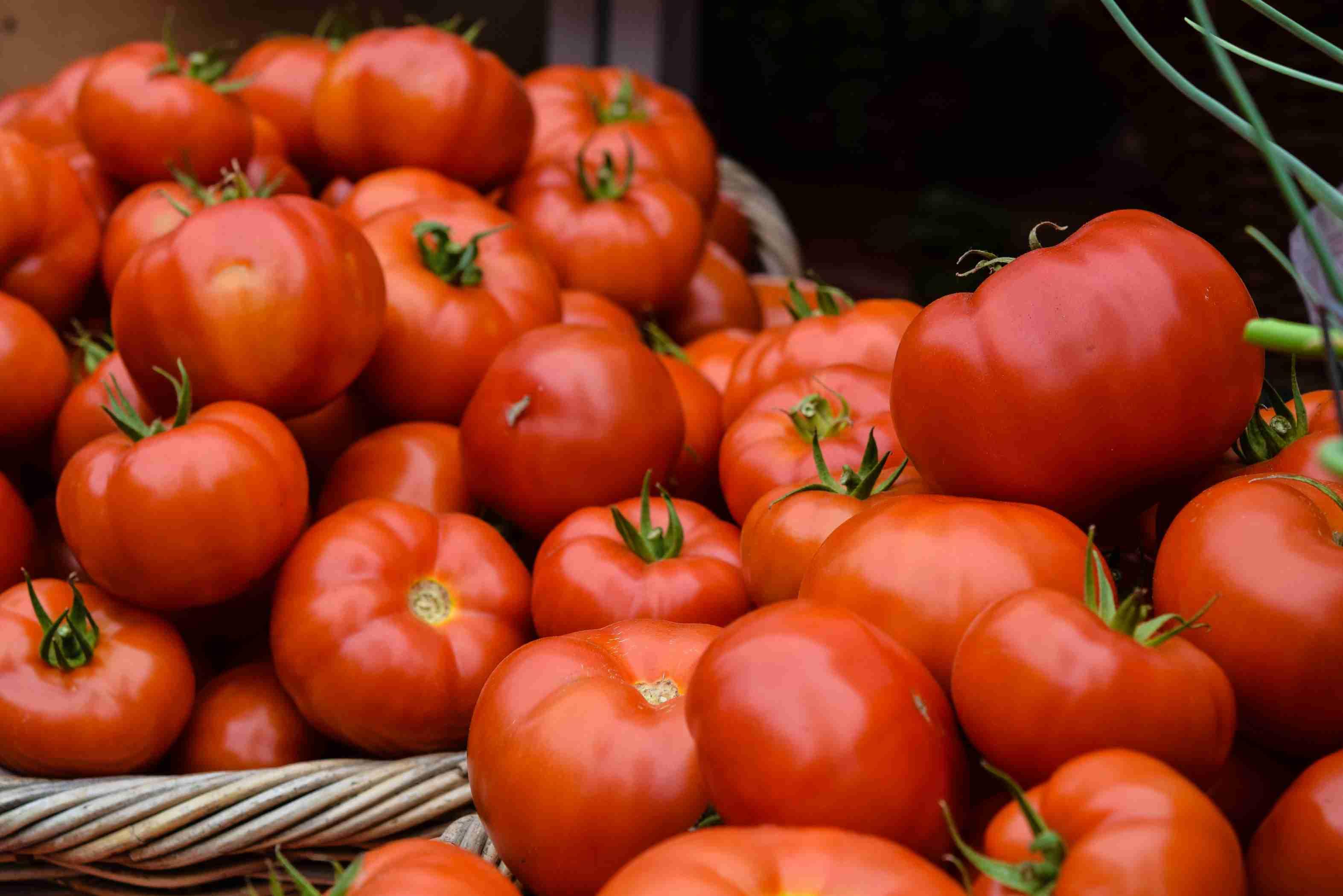 A group of ripe tomatoes appear stacked on top of one another in a wicker basket.