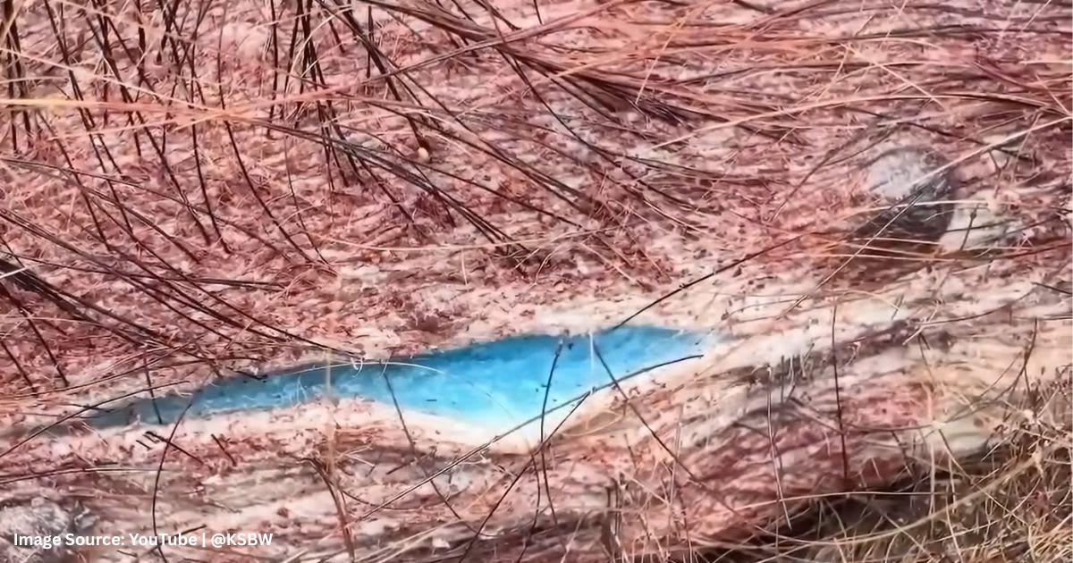 pn/ebe eaf a abf fcb