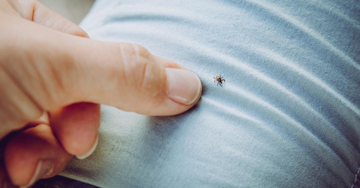 A person's finger approaches a tick on their jeans