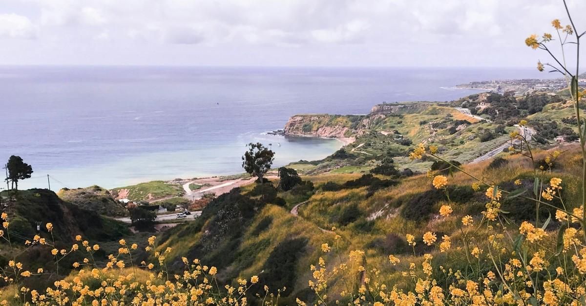 A view of the Pacific Ocean from the vantagepoint of the Forrestal Nature Reserve in Rancho Palos Verdes, California 