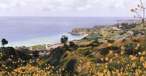 A view of the Pacific Ocean from the vantagepoint of the Forrestal Nature Reserve in Rancho Palos Verdes, California