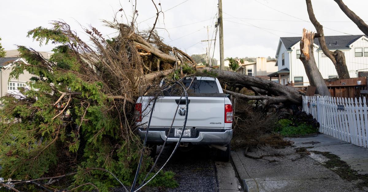 Fallen tree on a white pickup truck in the street after a storm. 