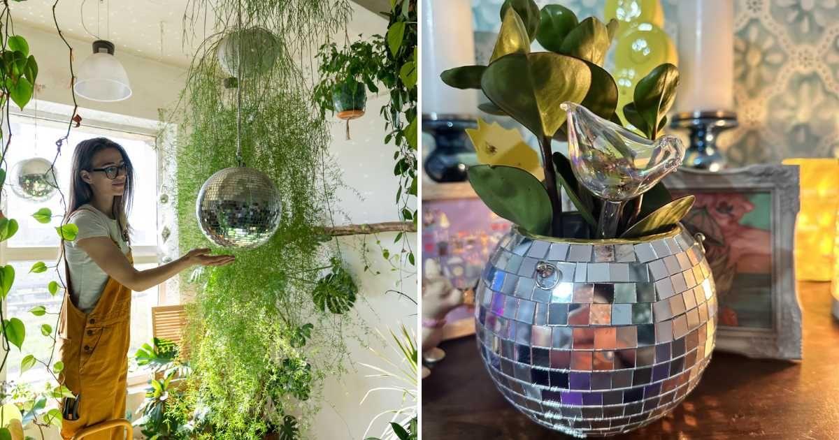 (L) Woman tending to plants hanging in disco ball planters (Representative Cover Image Source: Getty Images | EyeEm Mobile GMBH) | (R) Hanging disco ball planter by Tialero (Cover Image Source: Amazon)