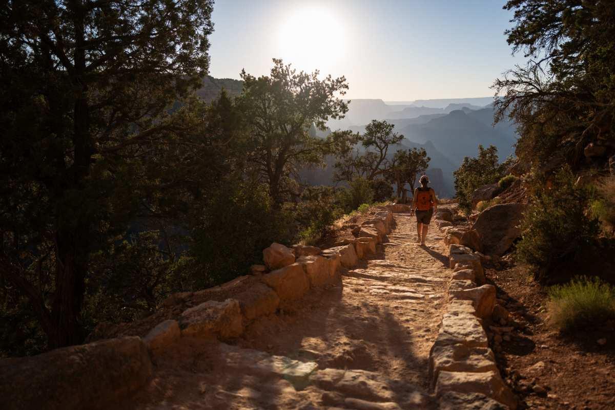 pn/ceed eea ec  bddef