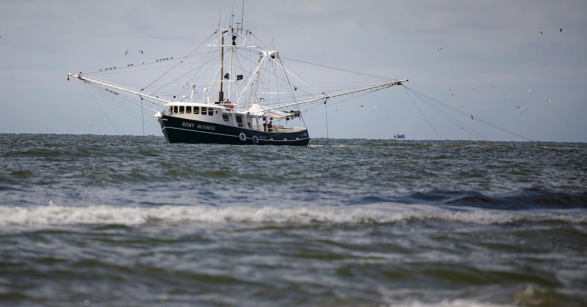 A Loop Current in the Gulf of Mexico Is Creating More Hurricanes