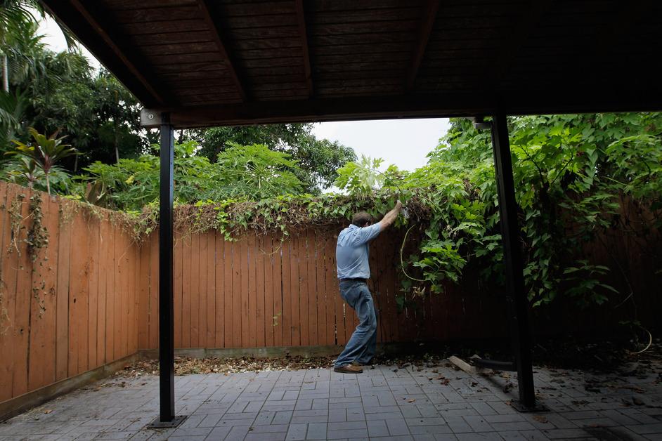 why-are-invasive-species-dangerous-to-the-environment