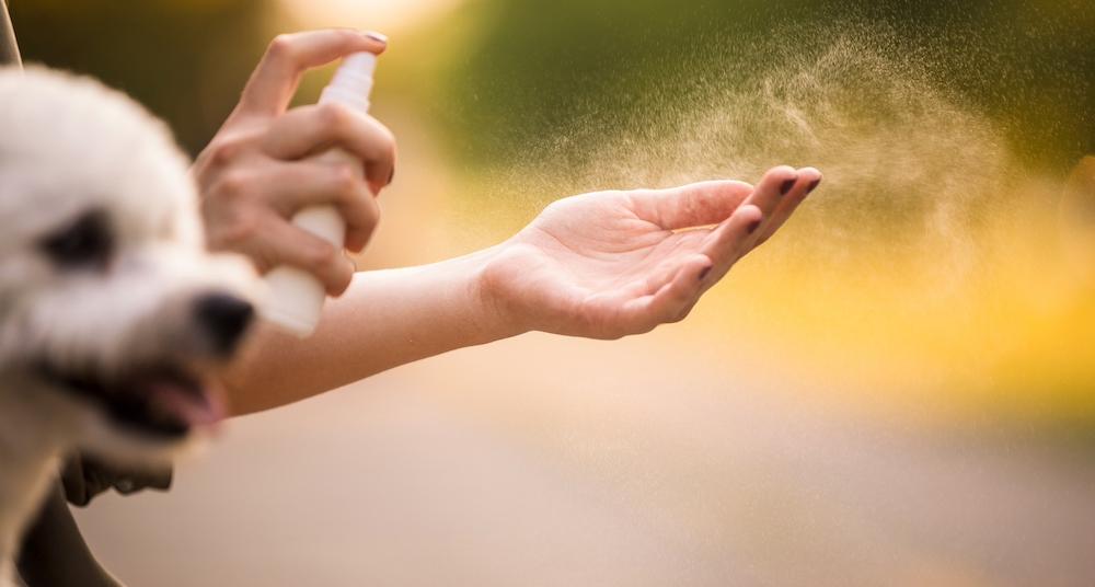 is-perfume-bad-for-dogs-know-before-you-spray
