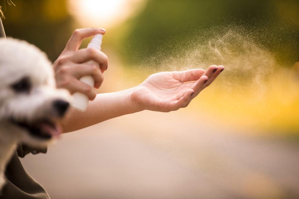Is Perfume Bad For Dogs? Know Before You Spray
