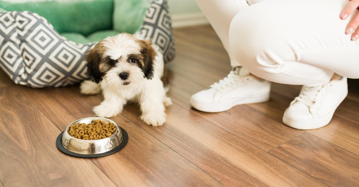 Dog Food PFAS