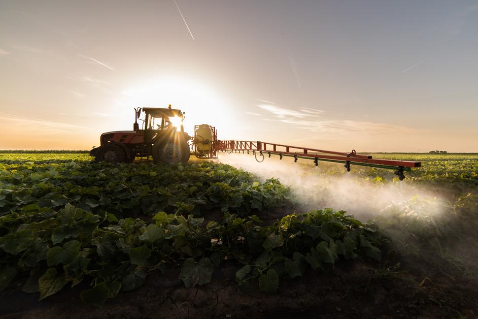 Insecticide being sprayed on crops