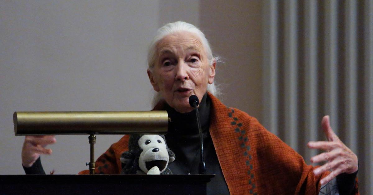  Was Jane Goodall Married? A Look at Her Personal Life
