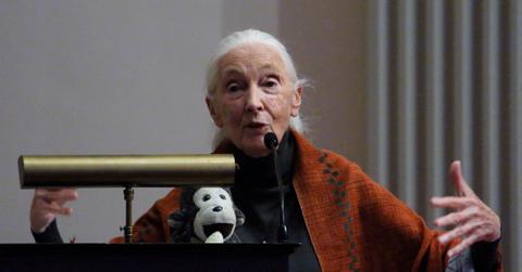 Was Jane Goodall Married? A Look at Her Personal Life