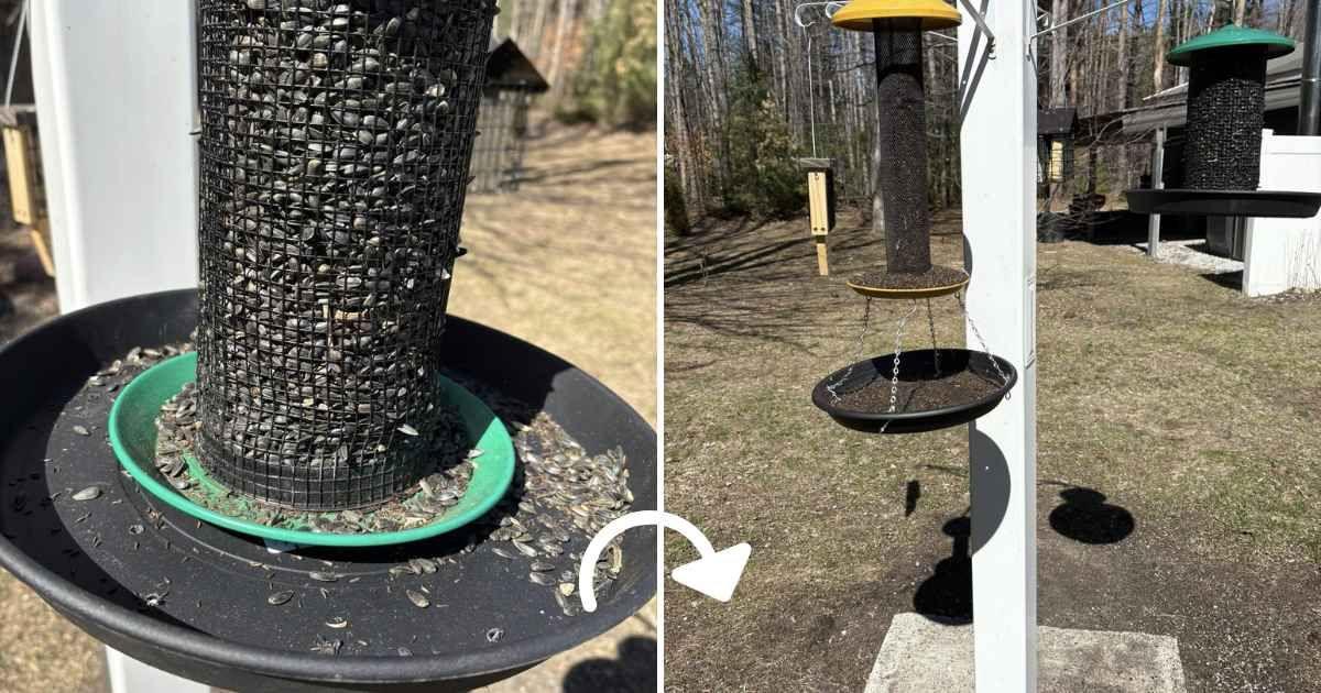 Birder shared a clever flower pot tray hack she used to prevent her bird feeder from getting messy (Cover Image Source: Facebook | @backyardbirdlovers)