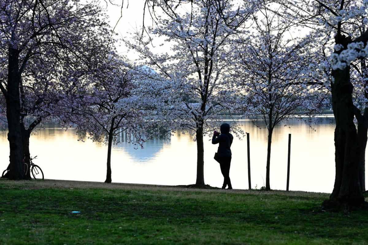 pn/bfcf ff e aab bafe