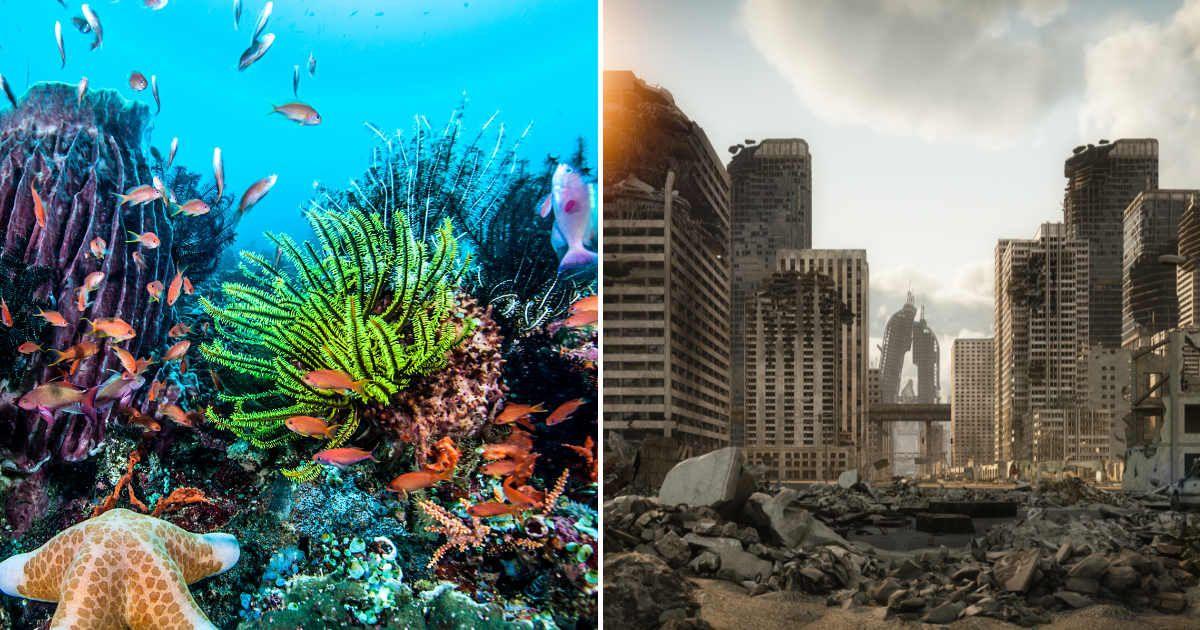 (L) A variety of marine creatures under the ocean in Southeast Asia. (R) A digital illustration of a post-apocalyptic urban scene. (Representative Cover Image Source: Getty Images | (L) Giordano Cipriani, (R) Bulgac)