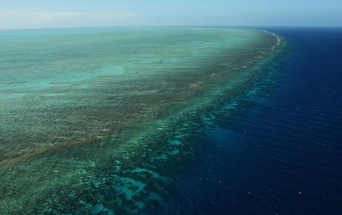 aerial view of Great Barrier Reef