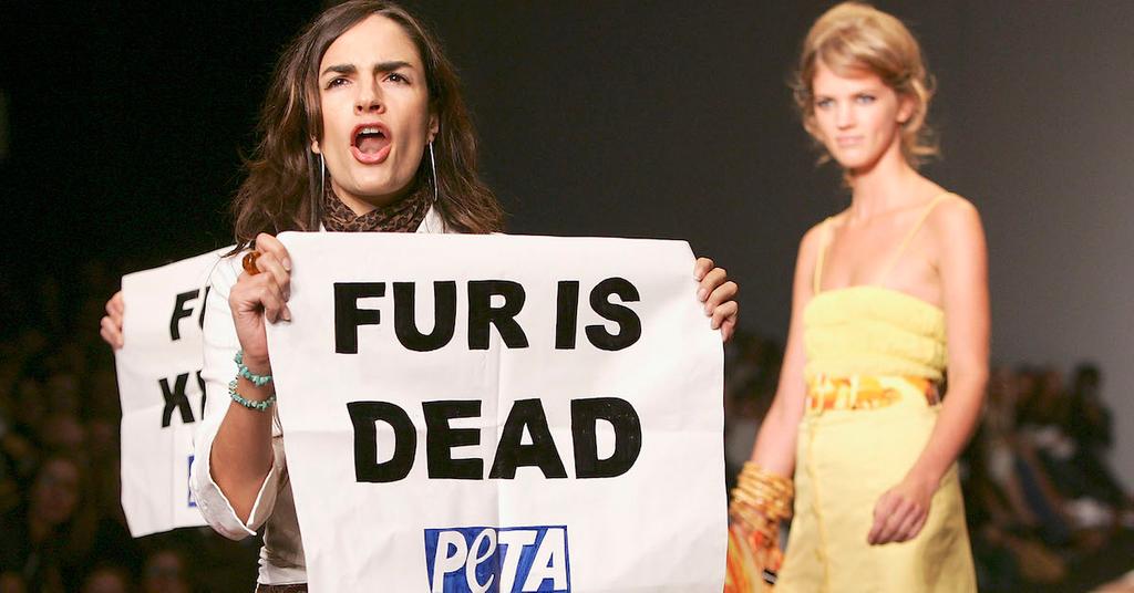 Where to Donate and Recycle Fur Coats Near Me