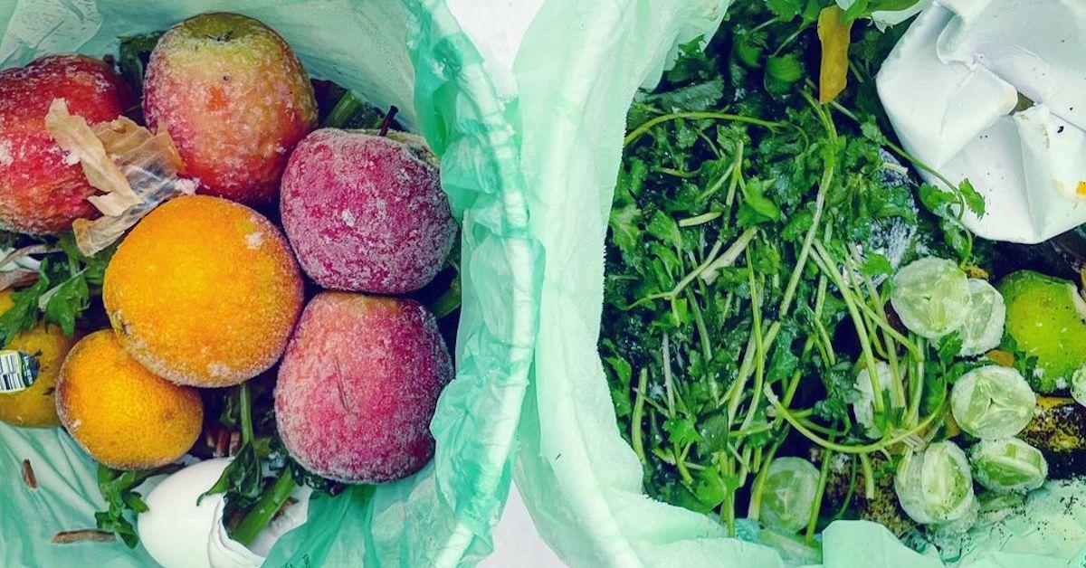 Are Compostable and Biodegradable Bags Really Compostable? Here Are Our