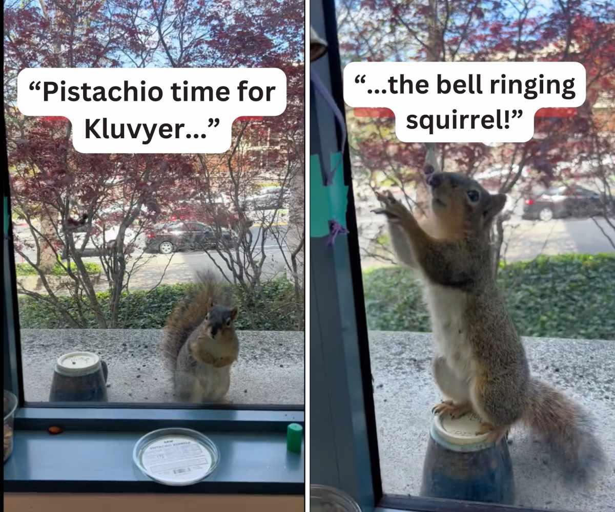 pn/dade fe fc ecacfc