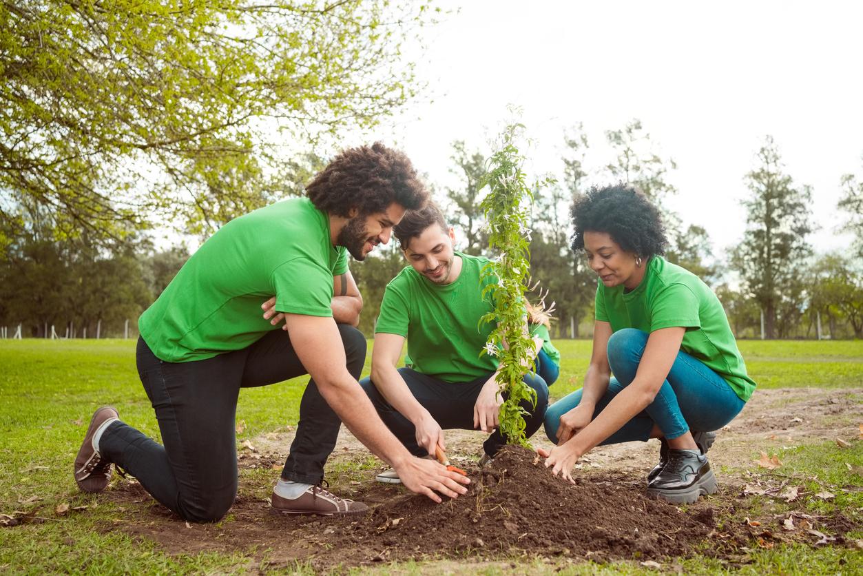 Three volunteers in green shirts plant a young tree in a park.