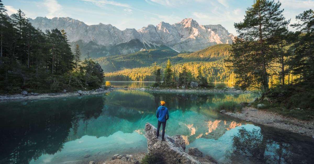 A hiker admiring a forest of trees with a volcanic mountain in the background. (Representative Cover Image Source: Getty Images | Smileus)