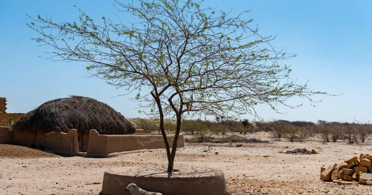 Jaisalmer, a desert city of Rajasthan, is known for its century-old fort. The Thar desert starts from this city and goes west. (Cover Image Source: Getty Images | Arunanjan Saha)