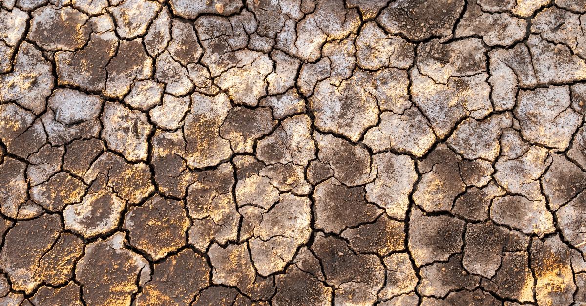 Close-up photograph of dried and cracked earth from a drought. 