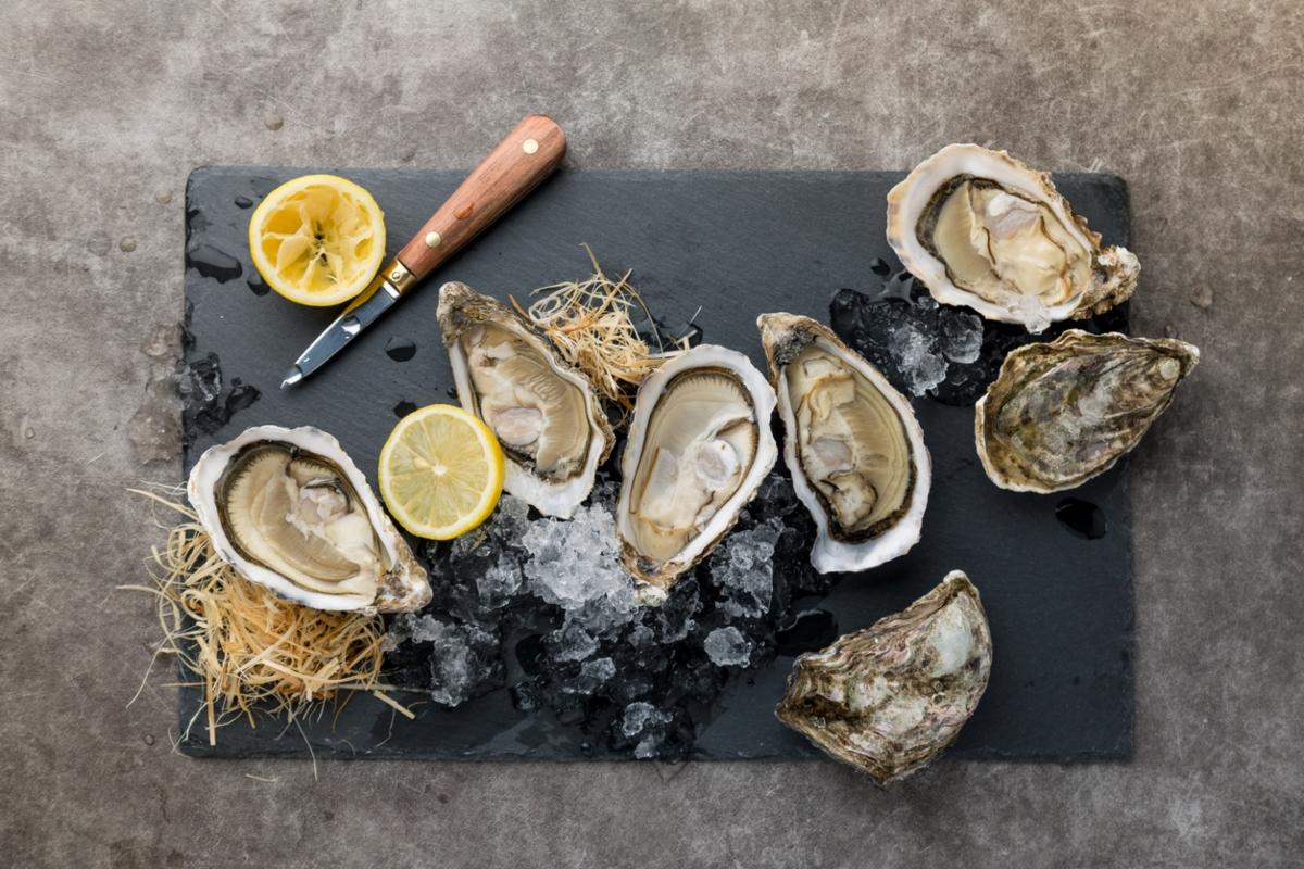 oysters on a platter