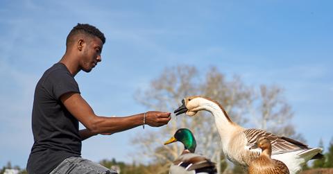 A young man feeds wild birds in a park while sitting on the grass.