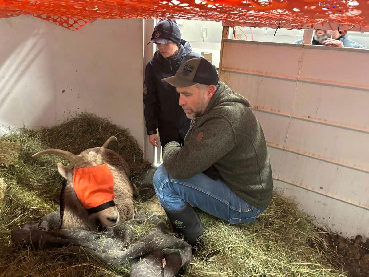 pn/cdde bae ea c fead