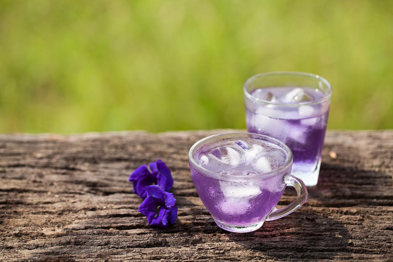 Two glass of iced butterfly pea flower tea are pictured with flowers beside them.