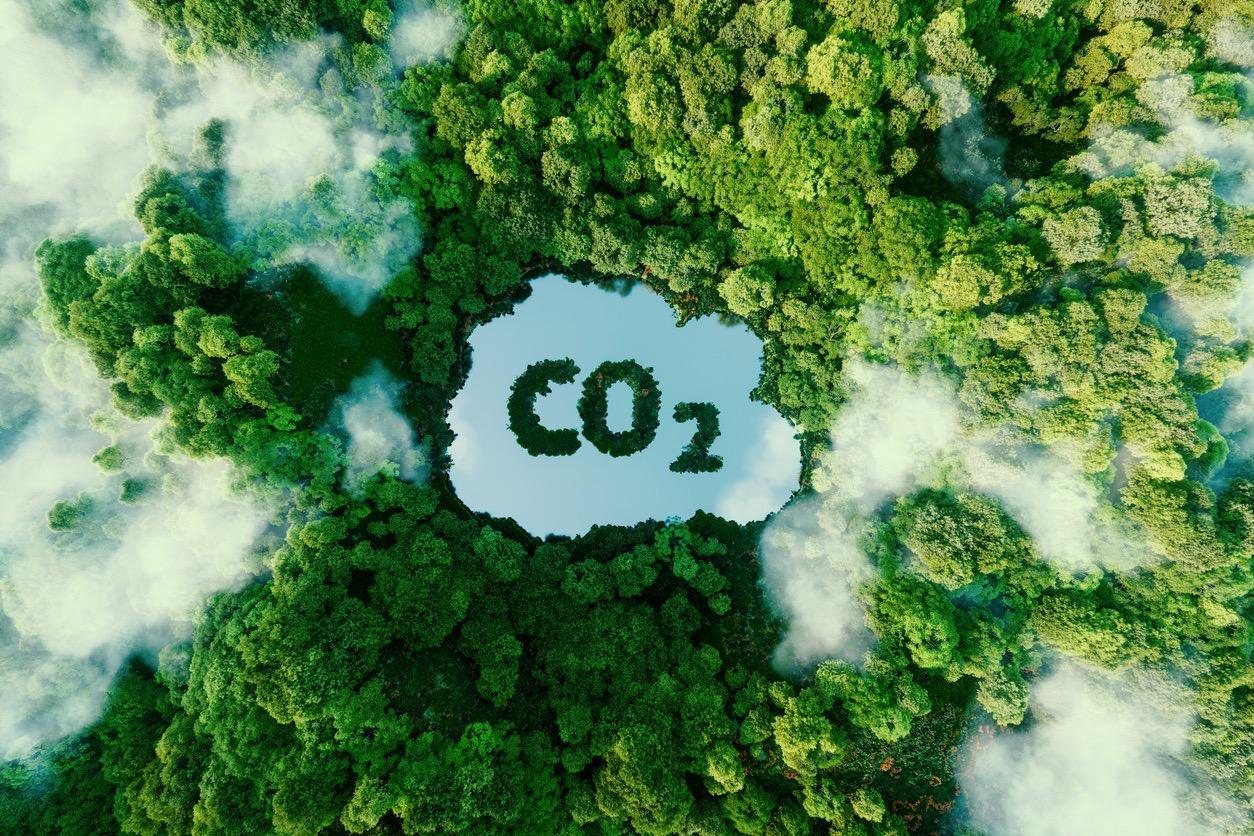 Carbon Dioxide Emissions