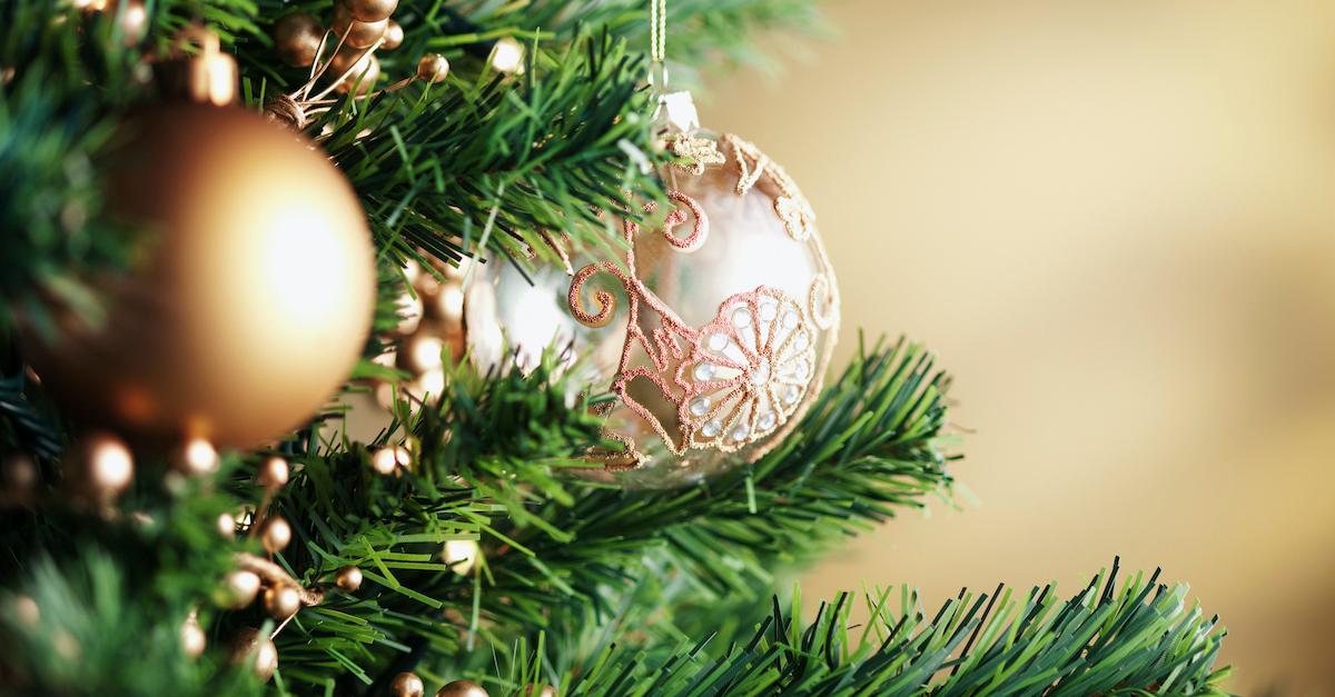 Close-up photograph of a pine tree with silver circular Christmas ornaments. 