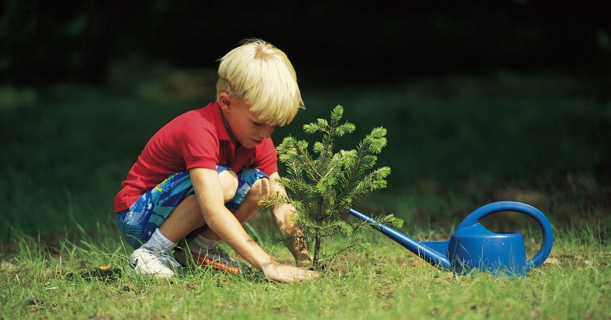 Boy planting a tree