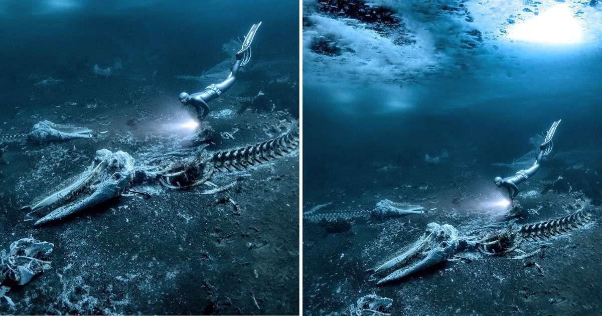 'Whale Bones,' the award-winning photograph captured by Alex Dawson in eastern Greenland (Cover Image Source: Instagram | @alex_dawson_photography)