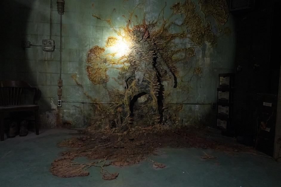 Corpse covered in fungus from 'The Last of Us.'