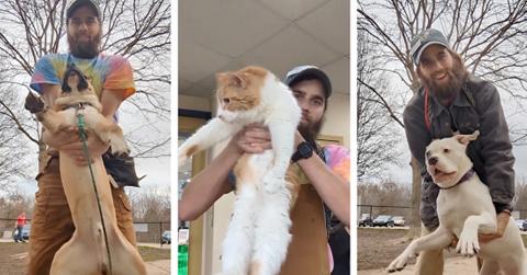 Cameron Shoppach dangles two dogs and a cat in these still images from videos in which he performs the "dangle test" to determine each animal's temperament.